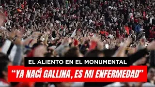 💪 LOCURA TOTAL EN LOS PENALES:  