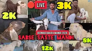 🛑 LIVE Itna Sasta Deonar Bakra Mandi 2026 || 2000 Se Shuru Goat Kids Chanas Looto Aur Shouk Karo ||