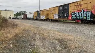 NS 310 at Fulton St MP 255