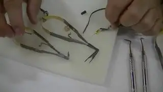 Laschal Steiglitz Forceps