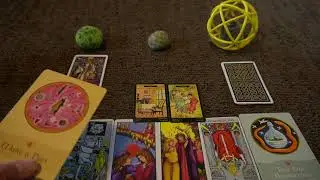 What Would A CAT Tell YOU?! 🙀 PICK A CARD Tarot Reading