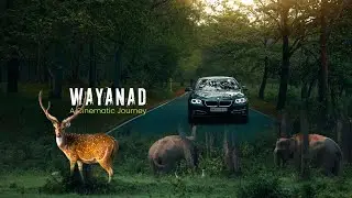 Cinematic Wayanad | Travel Video | 4K