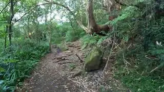 Wolli Creek Walking Track - Sydney Australia - AllTrails - 1 July 2023