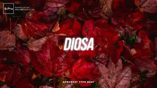 Diosa | Instrumental Afrobeat | WizKid Type Beat 2021