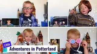 HARRY POTTER IMPRESSIONS  - Hagrid, Draco, Snape, Harry, Quirrell & more⚡️