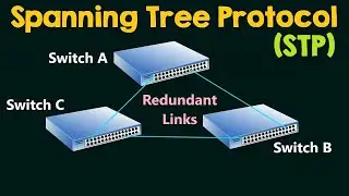 Free CCNA In Hindi | Chapter24 -Lab  How STP Works?