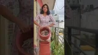 Composting at home in 5 mins with Khamba terracotta pots.