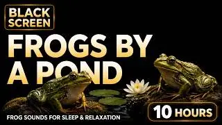 Frogs by a Pond | Peaceful Nature Sounds for Sleep, Relaxation, and Calm (10 Hours) Black Screen