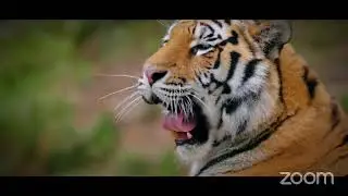 Rabbi RasIadonis: Who is the real Lion of Judah? Haile Selassie Jesus Christ.