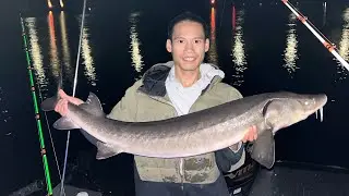 St.Croix River Fall time Sturgeon Fishing!! (Jiggin with Livescope!!) 