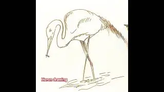 easy the heron drawing , heron drawing simple, #shorts #viral #drawing #shortvideo