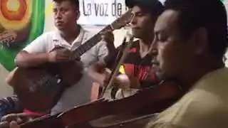Musica de mi tierra