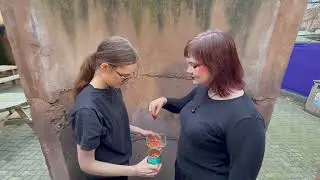 Experimental Performance