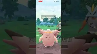 New sludge Shadow Swampert destroys Great League