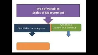 Introduction to Statistics part 2 type of variables