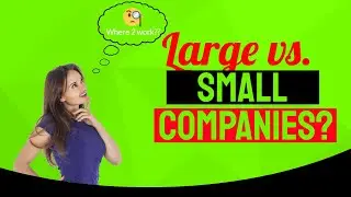 Where to Work:  Large versus Small Companies