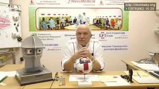 #27 способ исследования взаимного положения глаз