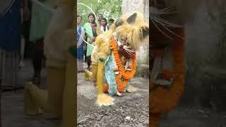 bilaspur Sher dance 9 Muharram (Abhay bhai)