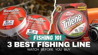 Top 3 Best FISHING LINES ON AMAZON BUY RIGHT NOW