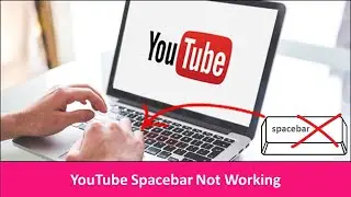 How To Fix Spacebar Pause Is Not Working On YouTube