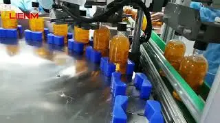 LEINM Project: 400ml Ginseng Shampoo Production Line