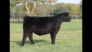 17Ott Lot8