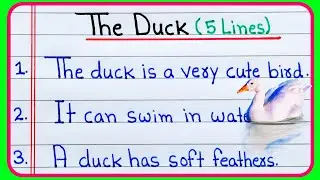 5 lines on The Duck essay in english | Essay on Duck in English | The Duck essay 5 lines