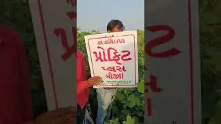 Nath Bio-Genes (I) Ltd #profitplus #cottonseeds