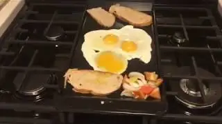 Samsung Gas Range Center Oval Burner Middle Griddle Review & Testing
