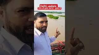 #delhi #update #HeavyRainfall #FloodAlert #DelhiFlood #PunjabFloods #StaySafe #NaturalDisaster