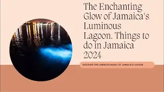 The Enchanting Glow of Jamaica's Luminous Lagoon. | Dreddphotos Travel