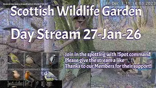 Day Stream January 27th 2026 | Bird Feeders, Wildlife Cameras Scotland UK from SWG