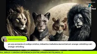 SIRIO, LIRA Y ORION ! #URMAHS