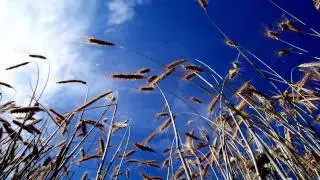 Armin van Buuren Vs. Solarstone - Spectrum Is Watching (MoKaRo's Under Control Mashup)