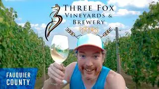Awesome Winery & Farm Brewery Combo 1 Hour From DC | Three Fox Vineyards & Brewery