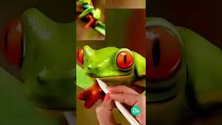 Realistic Frog Painting #procreatetutorial #ipadart