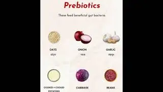 Healthylife | digestion improvement | holistic healing | natural care