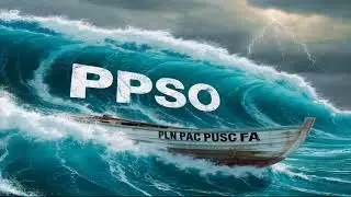 RESUMEN DEL PLAN DE GOBIERNO PPSO #laurafernandez 