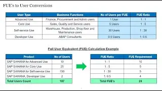 RISE with SAP Licensing | FUE Calculations