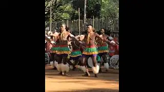 Captivating Traditional African Dance | African Dance | Swazi Dance | Eswatini Dance | Swaziland