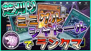 【マスターデュエル】この戦争を終わらせに来た！！！　芝刈りミミグルシャドールでランクマ！(ダイヤ1～)