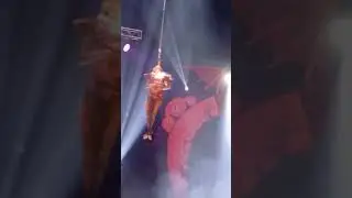#circus circo del miedo