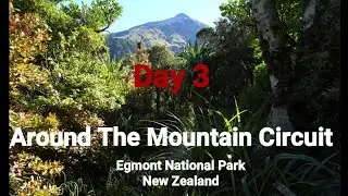 Around the Mountain Track, Egmont National Park, New Zealand- Day 3