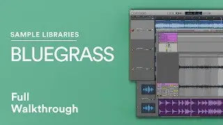 BLUEGRASS SAMPLE LIBRARY | Country Guitar and Banjo Sample Loops