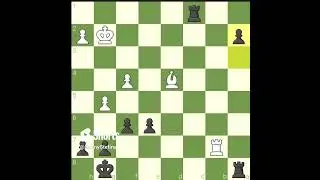 How To Win At Chess 🥺