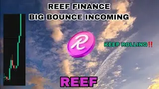 REEF COIN BIG BOUNCE COMING UPDATES IN SEPTEMBER 2024❗ REEF FINANCE KEEP ROLLING❗HAPPENING SIMILARLY