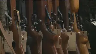 What are the guns laws in Missouri?