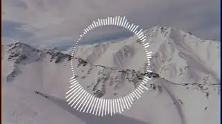 Z I V E R T  [ remix ]  T O U R I S T