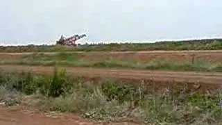 Students picking onions in australia farms