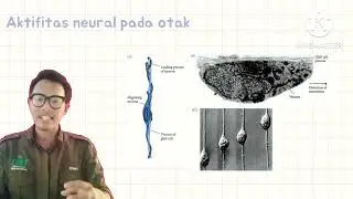 Organogenesis Turunan Ektoderm